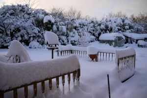 Snow-In-Alfreton-1